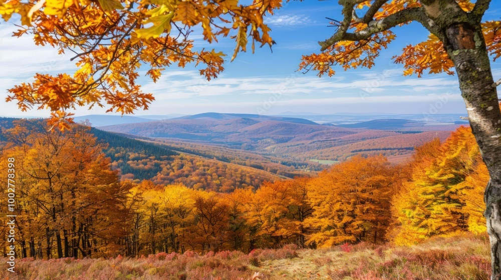 Fototapeta premium Autumnal Landscape with Golden Trees