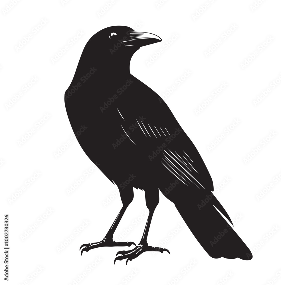 silhouettes of birds,bird, silhouette, animal, nature, illustration, vector, birds, crow, black, isolated, beak, bullfinch, branch, wildlife, white, wing, raven, feather, winter, cartoon, art, fly, tr silhouettes of birds,bird, silhouette, animal, nature, illustration, vector, birds, crow, black, isolated, beak, bullfinch, branch, wildlife, white, wing, raven, feather, winter, cartoon, art, fly, tr