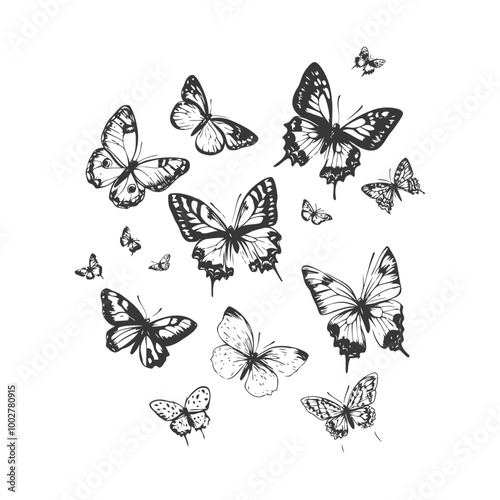 Wallpaper Mural A Black and White Sketch of Butterflies in Flight Torontodigital.ca