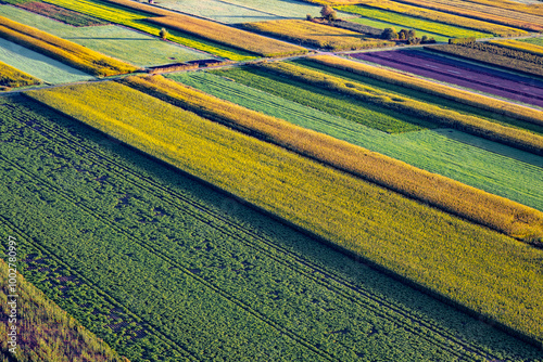 High angle view on rural and agricultural fields in Waasland of East Flanders, Belgiuma photo