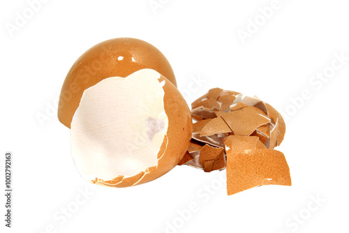 Eggshell isolated on transparent background. photo