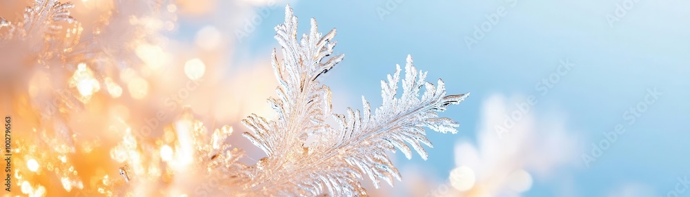 Detailed view of frost patterns on a window pane, early morning light, Frost on glass macro, Winter's artistry Detailed view of frost patterns on a window pane, early morning light, Frost on glass macro, Winter's artistry
