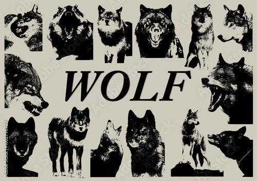 Wolf a set of graphic resources of wolf. Photocopy and halftone effect for grunge, punk, y2k, pulp, pop collage, poster, tshirt design. Vector illustration with elements on separate background.