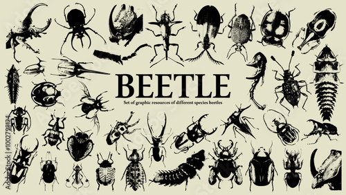 Beetle set of graphic resources. Photocopy and halftone effect for grunge, punk, y2k, pulp, pop collage, poster, tshirt design. Vector illustration with elements on separate background.