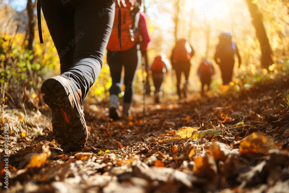 An exciting group hiking expedition through picturesque trails, showcasing stunning fall foliage and natural beauty. An exciting group hiking expedition through picturesque trails, showcasing stunning fall foliage and natural beauty.
