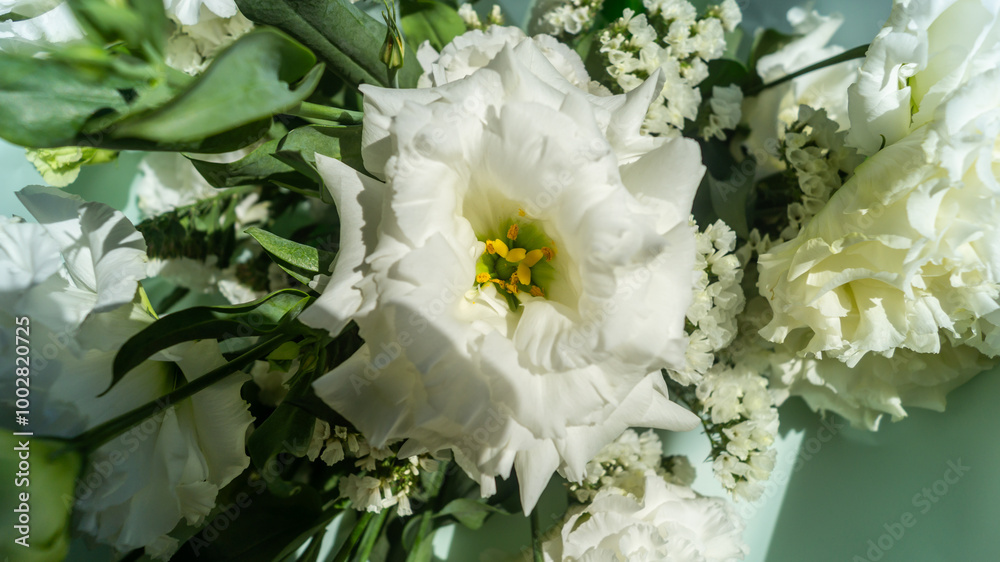 Fototapeta premium Prairie gentian. A bouquet of white eustomas. A bouquet of large white eustoma flowers