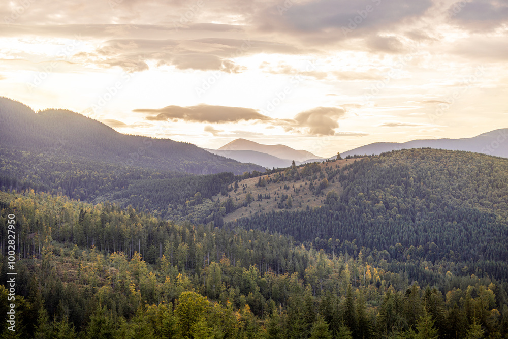 A serene view of the Carpathian mountains during sunrise, with Mount Hoverla visible in the distance. The tranquil morning atmosphere highlights the natural beauty of the forested landscape A serene view of the Carpathian mountains during sunrise, with Mount Hoverla visible in the distance. The tranquil morning atmosphere highlights the natural beauty of the forested landscape