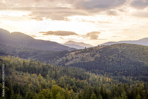 A serene view of the Carpathian mountains during sunrise, with Mount Hoverla visible in the distance. The tranquil morning atmosphere highlights the natural beauty of the forested landscape photo