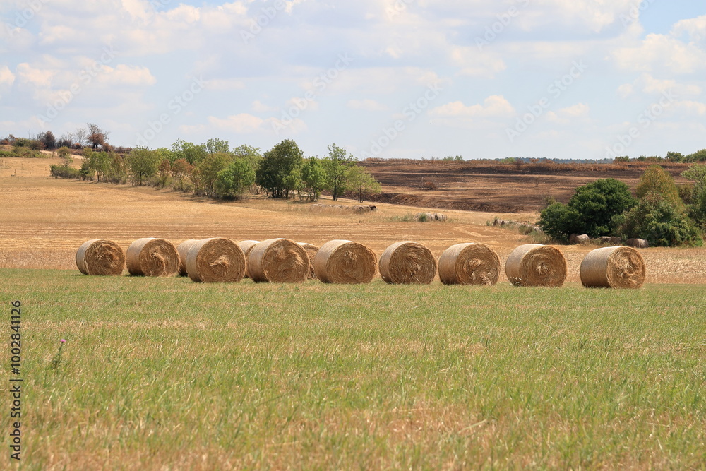 Wheat bale.
