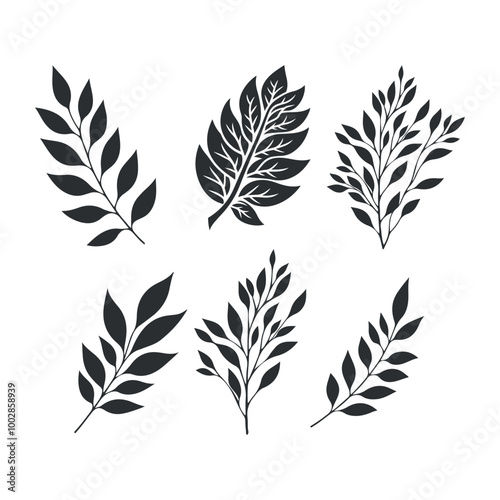 Set of leaves silhouette illustration isolated on white background