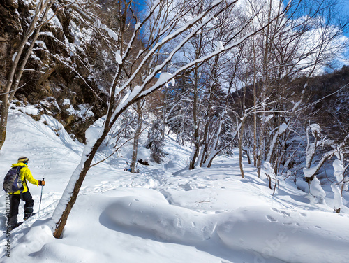 Female hiker moving through a snowy forest in Hokkaido, Japan photo