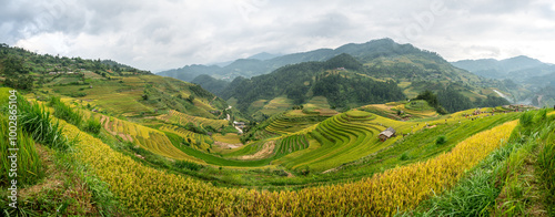 Panorama terraced rice paddies stretch across a misty hillside,Mu Cang Chai, Vietnam.