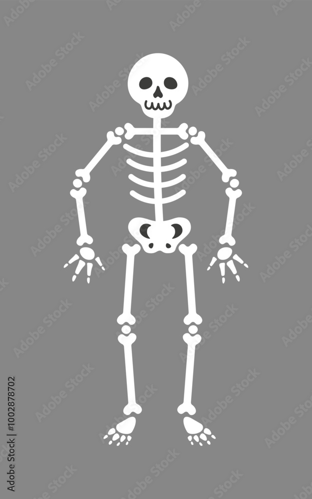 Skeleton Skeleton