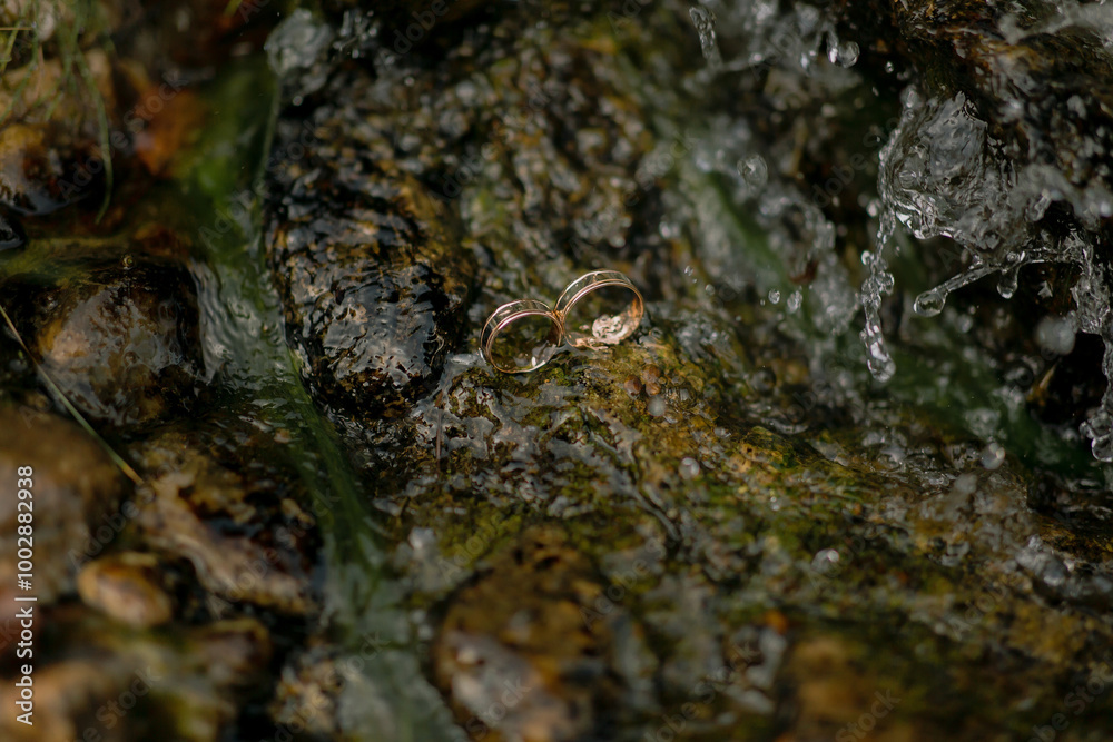 Two rings are sitting on a rock in a stream. The water is flowing and the rocks are wet Two rings are sitting on a rock in a stream. The water is flowing and the rocks are wet