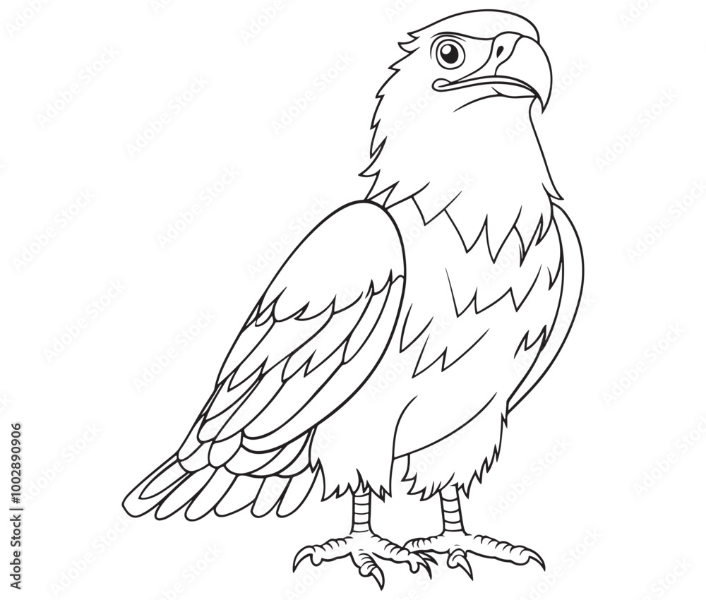 Obraz premium Illustration of an eagle, Hawk vector, Outline eagle vector