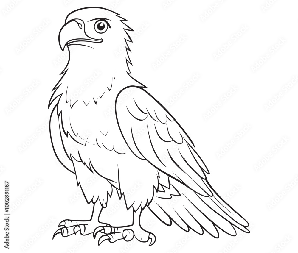 Fototapeta premium Illustration of an eagle, Hawk vector, Outline eagle vector