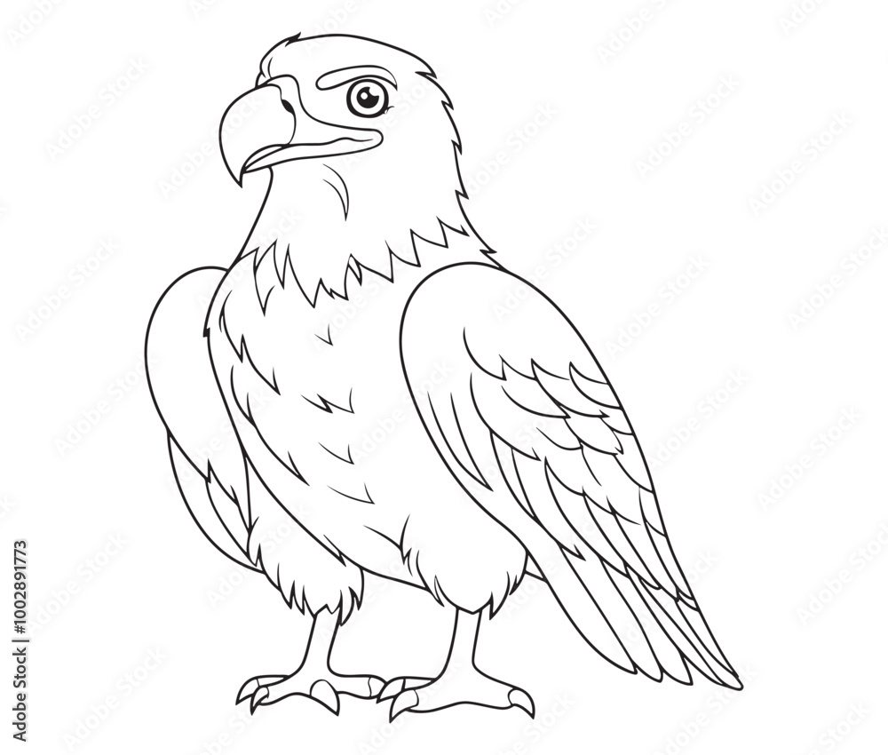 Fototapeta premium Illustration of an eagle, Hawk vector, Outline eagle vector