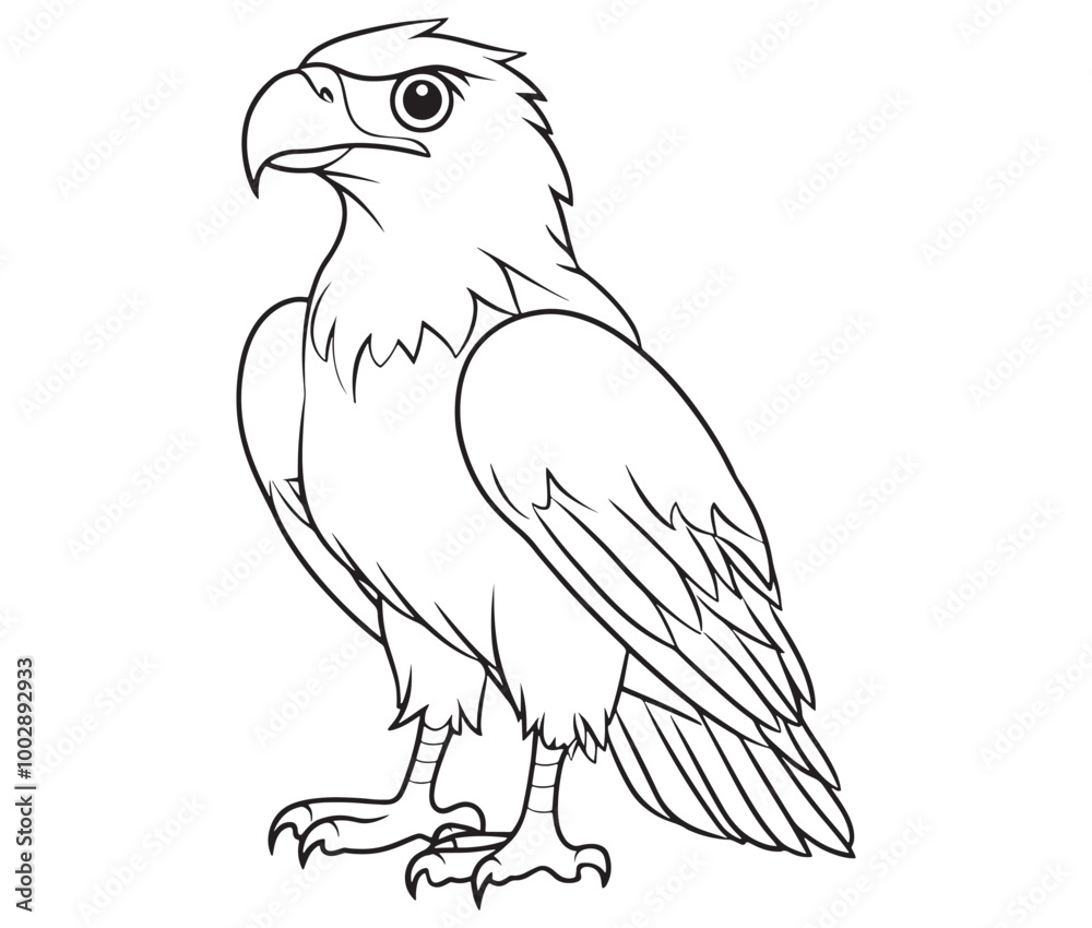 Fototapeta premium Illustration of an eagle, Hawk vector, Outline eagle vector