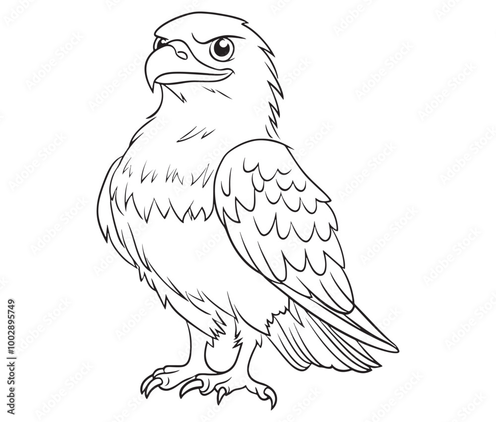 Illustration of an eagle, Hawk vector, Outline eagle vector Illustration of an eagle, Hawk vector, Outline eagle vector