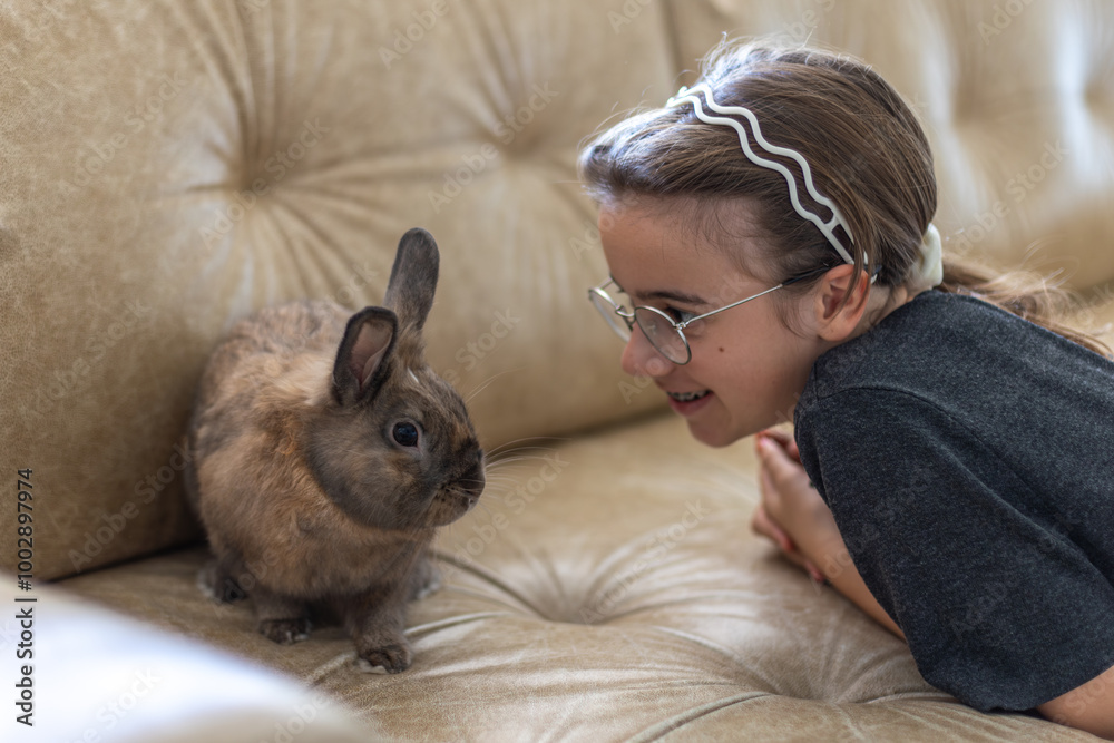 A girl is feeding a pet rabbit on the sofa. Pet concept. A girl is feeding a pet rabbit on the sofa. Pet concept.