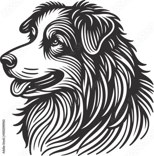 Wallpaper Mural Australian Shepherd silhouette, illustration white background Torontodigital.ca