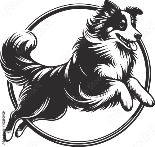 black and white dog