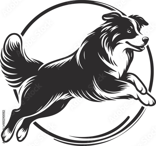 Australian Shepherd silhouette, illustration white background