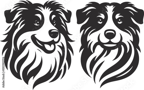 Australian Shepherd silhouette, illustration white background