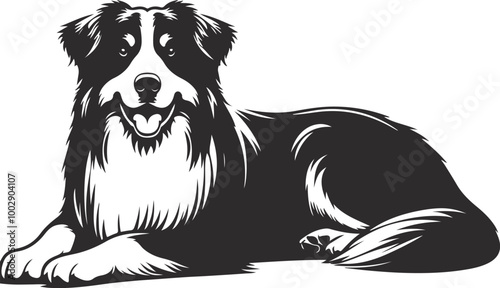 Australian Shepherd silhouette, illustration white background