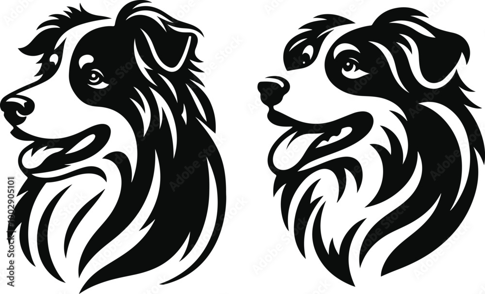 Fototapeta premium Australian Shepherd silhouette, illustration white background