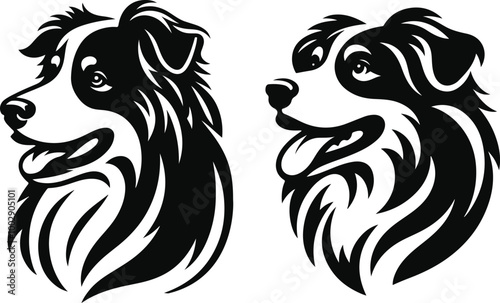 Australian Shepherd silhouette, illustration white background