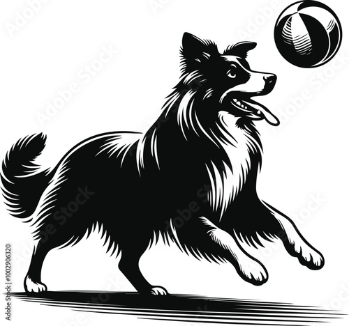 dog with ball