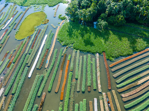 A stunning aerial view of farmers cultivating vegetables on floating gardens in Nazirpur, Pirojpur, Bangladesh, on September 30, 2024. photo