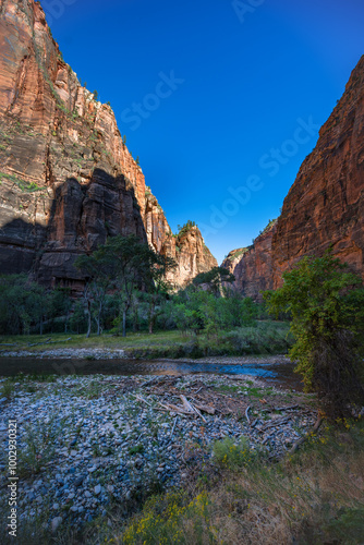 Canyon in Zion National Park