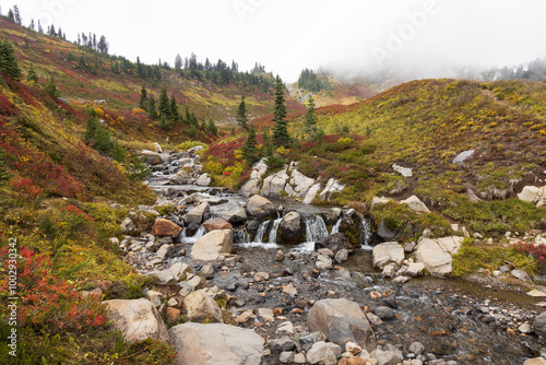 Myrtle Falls at Mount Rainier National Park, Oregon photo