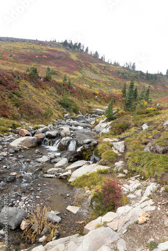 Myrtle Falls at Mount Rainier National Park, Oregon photo