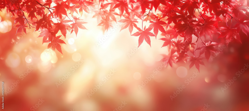 Copy space with autumn red leaves Copy space with autumn red leaves