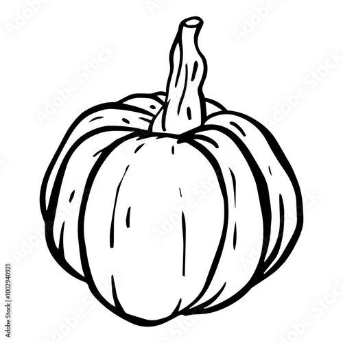 A HandDrawn Pumpkin Illustration Perfect for Fall Seasonal Home Decor and Artwork