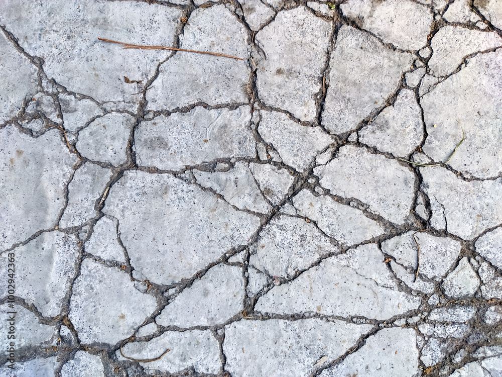 The background reveals a web of cracks spreading across the rough surface of old cement, each fracture telling a story of time and wear. The background reveals a web of cracks spreading across the rough surface of old cement, each fracture telling a story of time and wear.