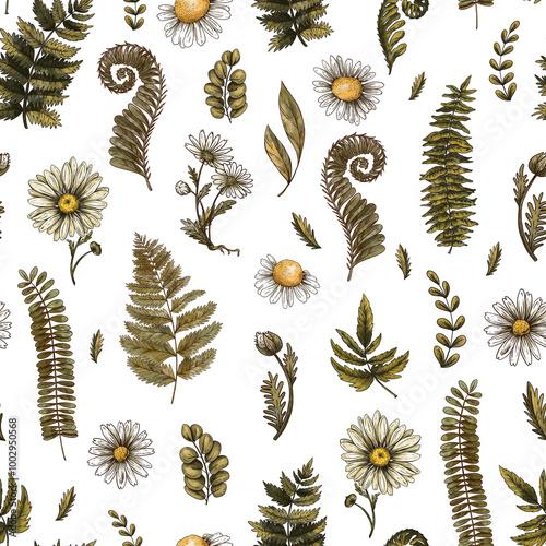 Vintage Daisy Flowers and Ferns Seamless Pattern