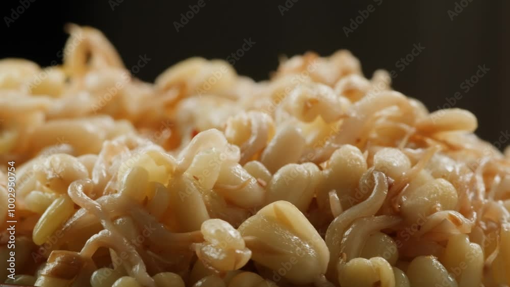 Salted soybean fermented in jar, chinese soy production, marinated food, germinated soy close up in cafe restaurant.