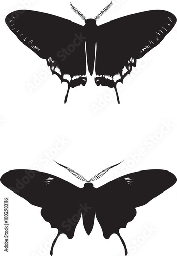 Black Insect vector icons silhouettes