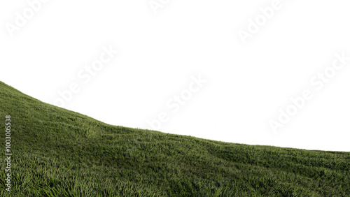 nature grass meadow land lush greenery landscape lawn isolated background.