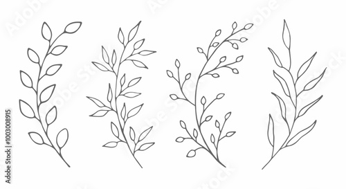 Hand-drawn clipart with branches with leaves in a minimalist line art style. Decorative botanical elements for nature-themed projects, wedding designs, or botanical art