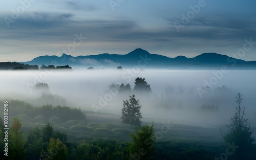 fog on the lake