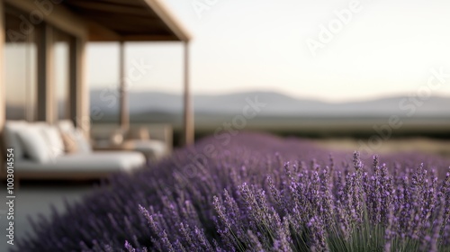 A sleek modern house stands next to an expansively lush lavender field, bathed in the warm glow of a sunset, showcasing a balance between architecture and nature. photo