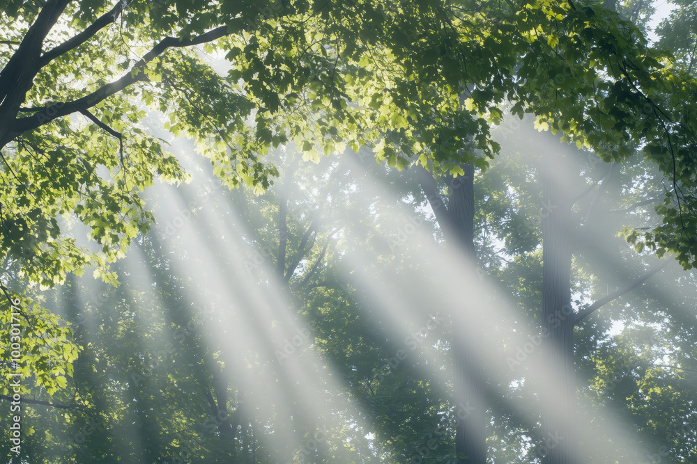 Misty morning in the forest, with tendrils of fog weaving through the trees and birdsong filling the air Misty morning in the forest, with tendrils of fog weaving through the trees and birdsong filling the air