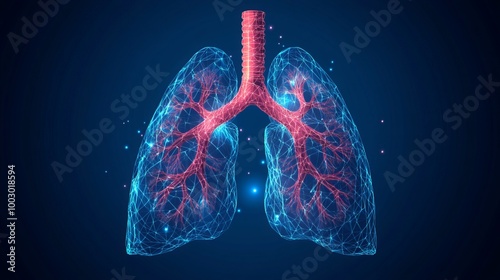 Vector illustration of abstract blue lungs with red bronchial tree structure. Anatomy of lungs including left and right bronchus, bronchioles, and trachea. Concept for healthcare photo