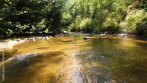 flow of a mountain river between forest trees, flowing water background, clear stream. natural sound