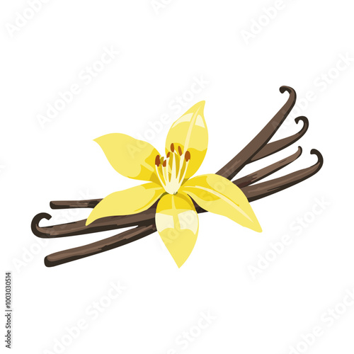 Realistic Vanilla Flower and Beans Illustration